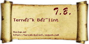 Ternák Bálint névjegykártya